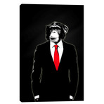 Domesticated Monkey (26"H  x 18"W  x  0.75"D)