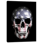American Skull (26"H  x 18"W  x  0.75"D)