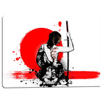 Trash Polka // Female Samurai (18"H  x 26"W  x  0.75"D)