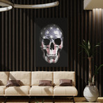 American Skull (26"H  x 18"W  x  0.75"D)