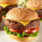 Prime Gourmet Assorted Burger Bundle // 9.5 lb