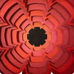 Papaver // Paper Flower Wall Sculpture