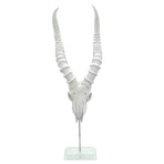 Resin Kudu Skull // Glass Base // White