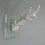 Resin Antlers // Glass Wall Mount // v1