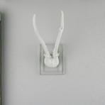 Resin Antlers // Glass Wall Mount // v2