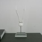 Resin Antlers // Glass Base (5.7"L x 4.3"W x 14"H)