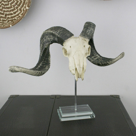 Resin Goat Skull // Glass Base