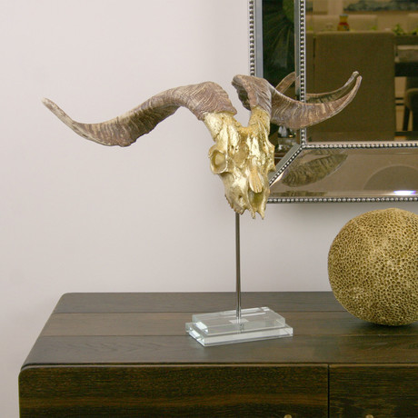 Resin Goat Skull // Glass Base // Gold