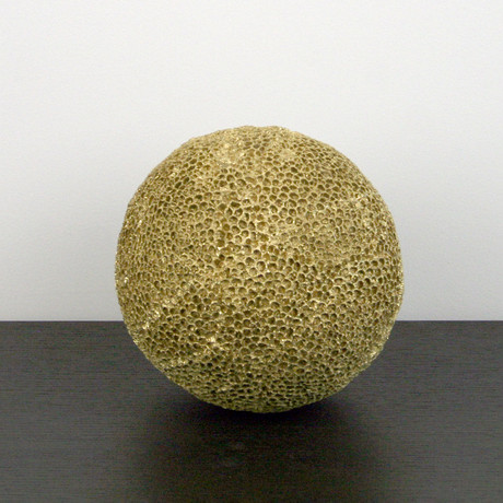 Brain Coral Orb // Gold