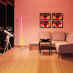 Annular Color Floor Lamp
