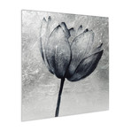 Dandelion & Lotus // Frameless Reverse Printed Tempered Art Glass with Silver Leaf (Dandelion)