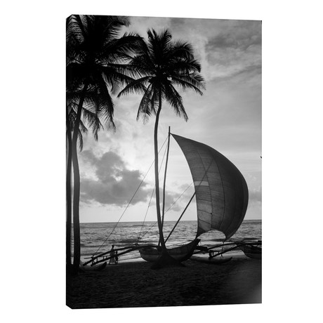 1930s Single Catamaran On Tropical Beach At Sunset Palm Trees Sri Lanka  // Vintage Images (18"W x 26"H x 1.5"D)