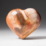 Genuine Polished Petrified Wood Heart + Acrylic Display Stand
