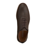 Perforated Oxford Shoe // Tobacco (Men's US Size 7)