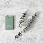 Complete Clean Discovery Bundle