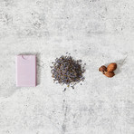 Complete Clean Discovery Bundle