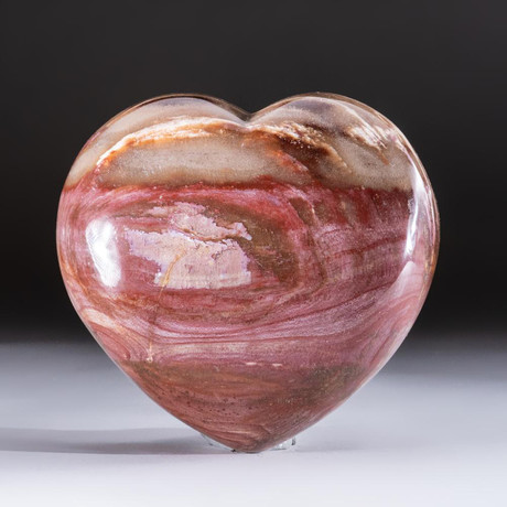 Genuine Polished Petrified Wood Heart // V4