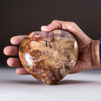 Genuine Polished Petrified Wood Heart // V5