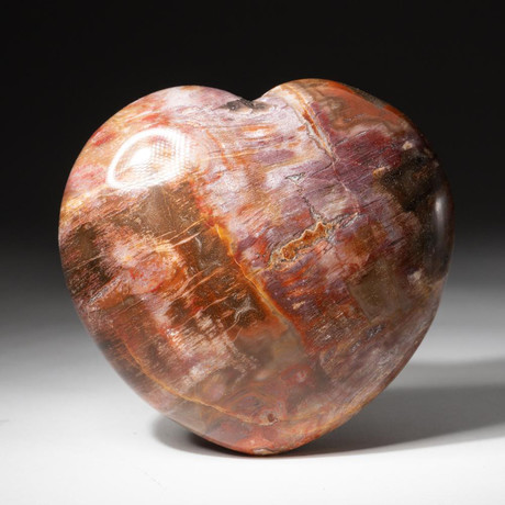Genuine Polished Petrified Wood Heart // V3
