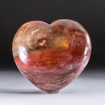 Genuine Polished Petrified Wood Heart // V4