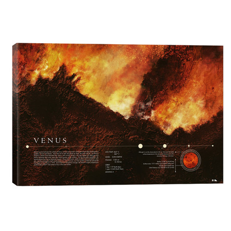 Venus // 2046 Design (26"W x 18"H x 1.5"D)