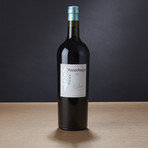 92 Point Argentinian Malbec // Set of 2 // 750 ml Each