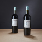 92 Point Argentinian Malbec // Set of 2 // 750 ml Each