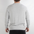 Aden Pullover Sweater // Light Gray (Medium)