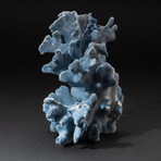 Genuine Blue Ridge Coral // V3