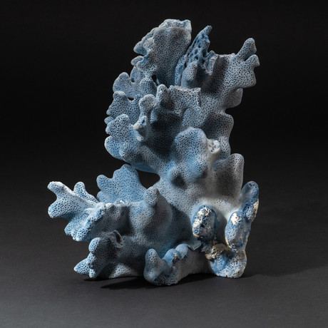 Genuine Blue Ridge Coral // V3