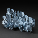 Genuine Blue Ridge Coral // V5