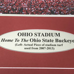 Ohio State Buckeyes // Authentic Game-Used Turf // Framed Collage