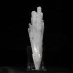 Scolecite