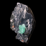 Green Apophyllite on Black Chalcedony