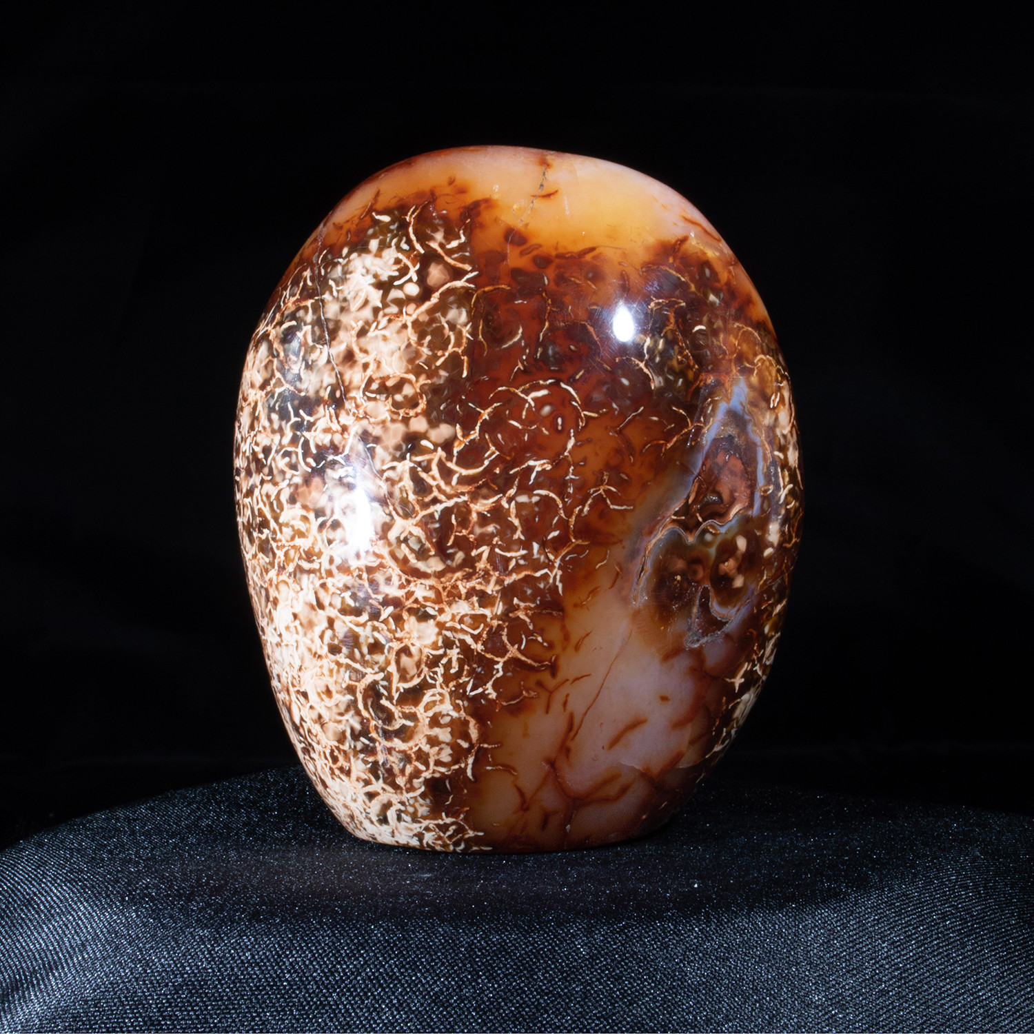 Earth Toned Agate - Studio Mineralia - Touch of Modern