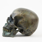 Human Skull // Ancient Bronze