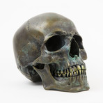 Human Skull // Ancient Bronze
