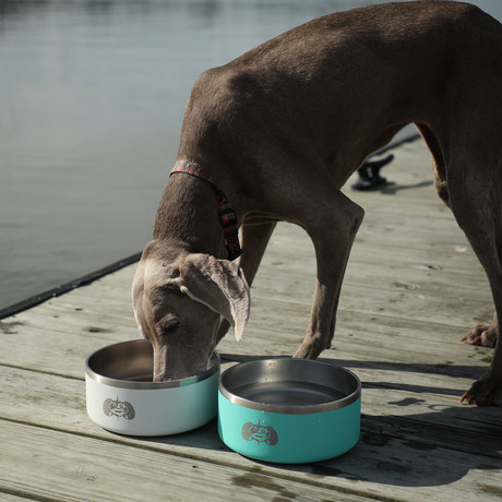 Non-Tipping Dog Bowl (Teal)