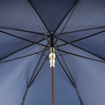 Umbrella + Gold Lion Handle // Blue