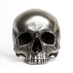 Skull Maxilla // Gunmetal Steel