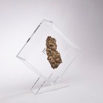 Chocolate Calcite Floating in Acrylic Display