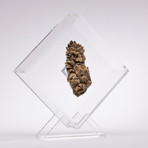 Chocolate Calcite Floating in Acrylic Display