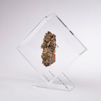 Chocolate Calcite Floating in Acrylic Display