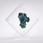 Malachite And Azurite Specimen Floating in Acrylic Display // Ver. 2