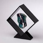 Fluorite Floating in Acrylic Display // Ver. 1