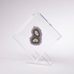 Amethyst Floating in Acrylic Display // Ver. 1