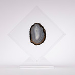 Agate Floating in Acrylic Display // Ver. 1