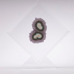 Amethyst Floating in Acrylic Display // Ver. 1