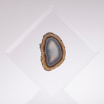 Agate Floating in Acrylic Display // Ver. 6