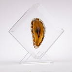 Agate Floating in Acrylic Display // Ver. 3